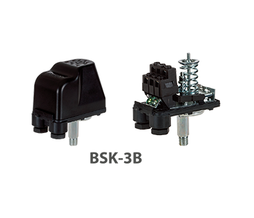 BSK-3B